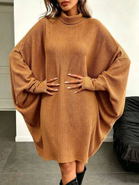 Oversized Ribbed Roll-Neck Jumper Dress
