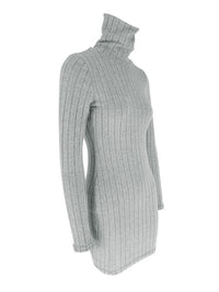 Turtleneck Ribbed Bodycon Mini Dress