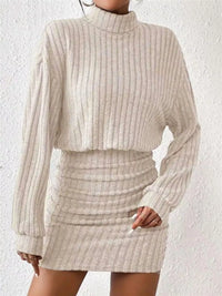 Cosy Knit Roll-Neck Bodycon Mini