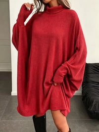 Oversized Ribbed Roll-Neck Jumper Dress